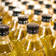 Bottiglie di olio extravergine di oliva allineate su un nastro di produzione, pronte per la distribuzione all’ingrosso.