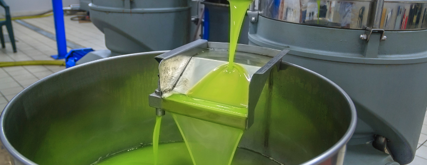 Macchinario industriale per l’estrazione dell’olio extravergine d’oliva: olio verde brillante che scorre da un tubo in acciaio inox in un contenitore durante il processo di spremitura a freddo.