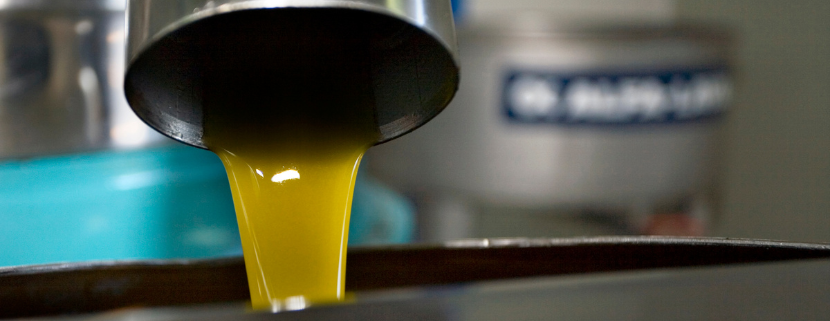Flusso di olio extravergine di oliva appena spremuto che esce da un beccuccio in acciaio inox durante la fase di lavorazione in un frantoio locale.