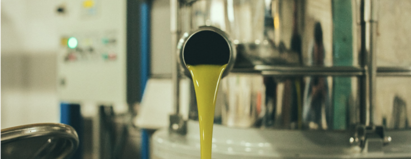 Macchinario per l’estrazione a freddo continua di olio extravergine di oliva, con il liquido verde che fuoriesce dal tubo in acciaio durante il processo di lavorazione artigianale.