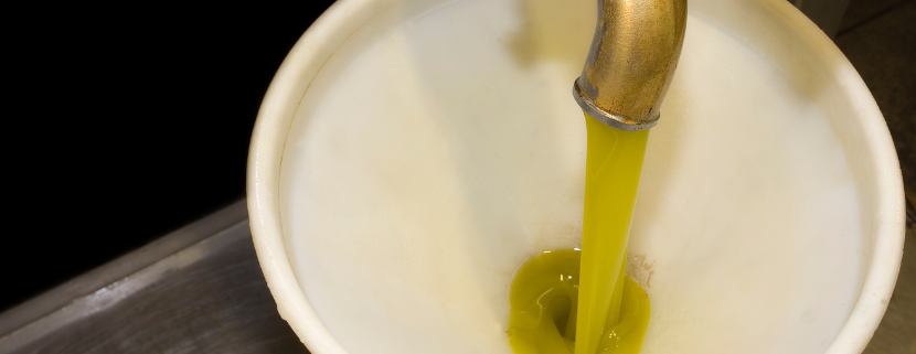 Getto di olio extravergine di oliva appena estratto che scorre da un rubinetto metallico in un contenitore bianco durante la fase di produzione in frantoio.