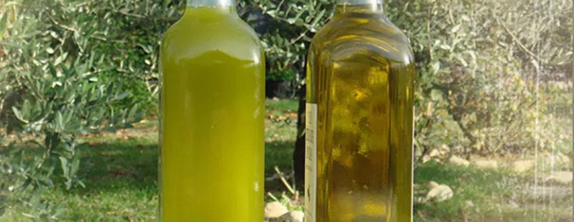 Bottiglie di olio extravergine di oliva, una dal colore verde brillante e una più dorata, posizionate all’aperto con un uliveto sullo sfondo.
